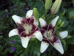 2012-06-26_16-56-59_631