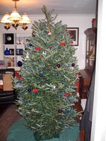 December 2010 005