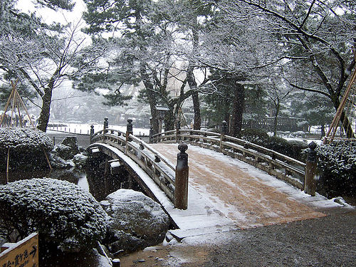 Winter Garden 2